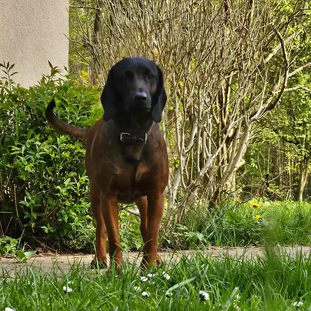 Anton & Charlotte Casa vacanze Schwarz (Mecklenburgische Seenplatte)